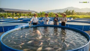 Ilustrasi Budidaya Ikan Nila Kolam Terpal: Raup Jutaan Rupiah di 2026!