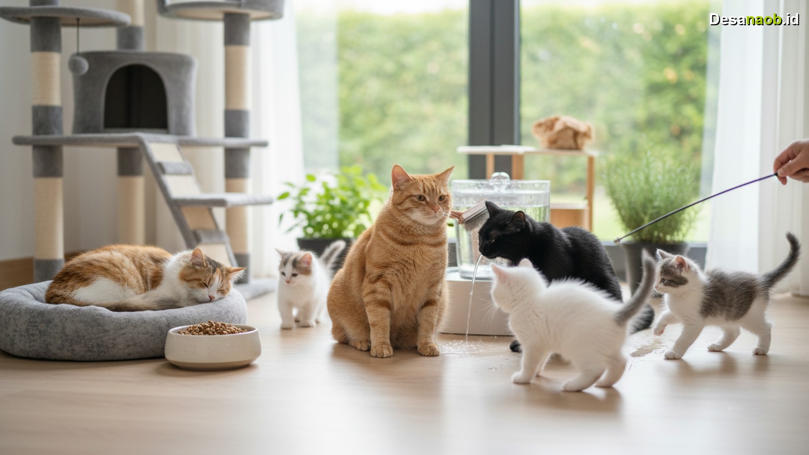 Ilustrasi Cara Merawat Kucing Kampung: 7 Tips Terbaru 2026 Bikin Sehat & Gemuk!
