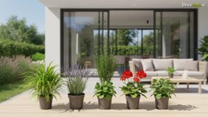 Ilustrasi Tanaman Pengusir Nyamuk: 7 Pilihan Ampuh Terbaru 2026, Rumah Bebas Nyamuk!