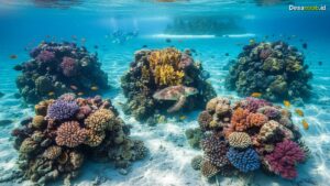 Ilustrasi Wisata Snorkeling Terbaik Selain Raja Ampat: 7 Surga Laut 2026!